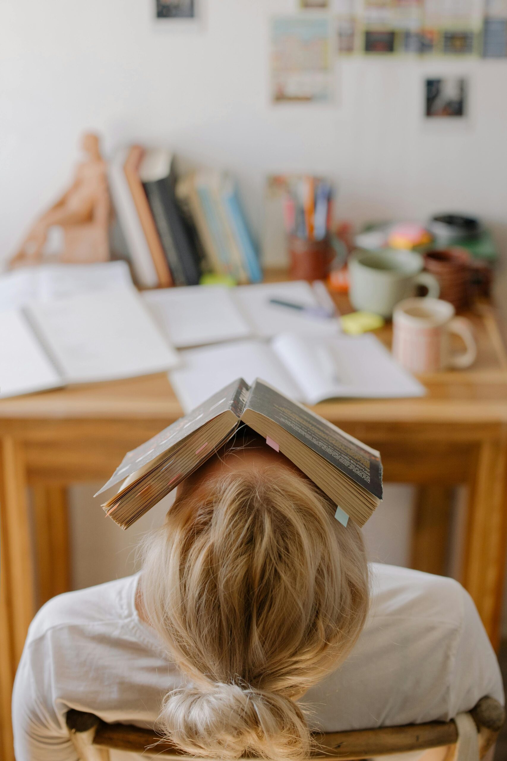 laurette naturopathe suivi etudiant etudiant sugmerge pour le travail a fournir